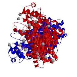 Image of CATH 4olh