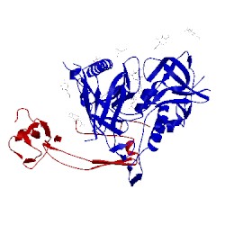 Image of CATH 4olv