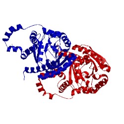 Image of CATH 4om8