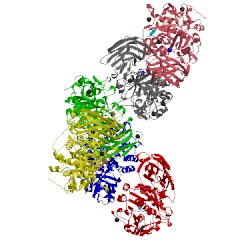 Image of CATH 4omc