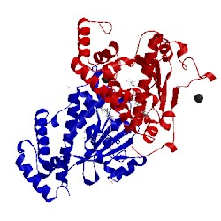 Image of CATH 4omk