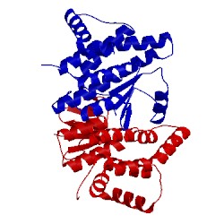 Image of CATH 4omv