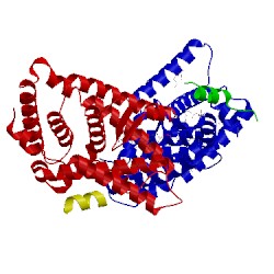 Image of CATH 4oni