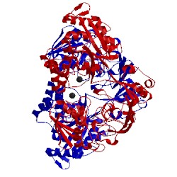 Image of CATH 4ony