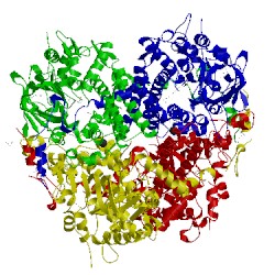 Image of CATH 4oo2