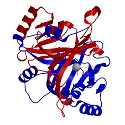 Image of CATH 4opn