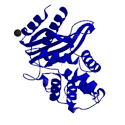Image of CATH 4opy