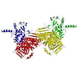 Image of CATH 4oqb