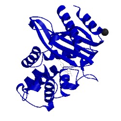 Image of CATH 4oqh