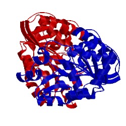 Image of CATH 4oqq