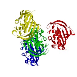 Image of CATH 4oro