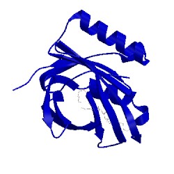 Image of CATH 4orr