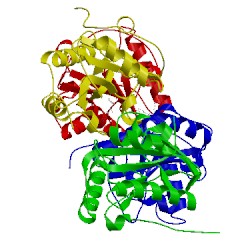 Image of CATH 4orv