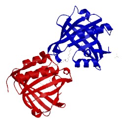 Image of CATH 4orx