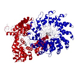 Image of CATH 4osl