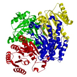 Image of CATH 4osp