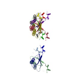 Image of CATH 4otc