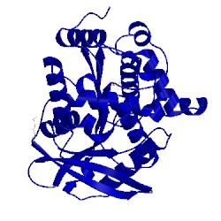 Image of CATH 4ou5