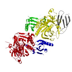 Image of CATH 4ov6