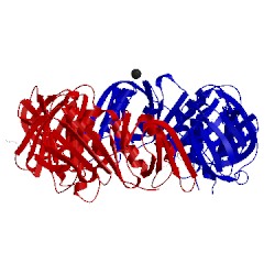 Image of CATH 4ovh