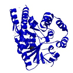 Image of CATH 4ovq