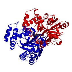 Image of CATH 4ovt
