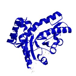 Image of CATH 4ovx
