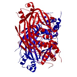 Image of CATH 4ow6