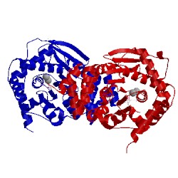 Image of CATH 4owm