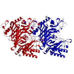 Image of CATH 4ox2