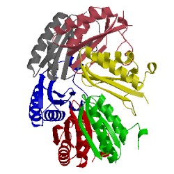 Image of CATH 4ox7
