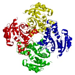 Image of CATH 4oxk