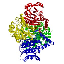 Image of CATH 4oxy