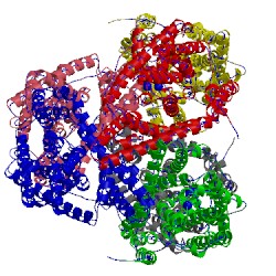 Image of CATH 4oyg