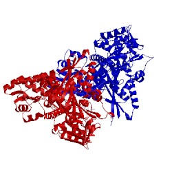 Image of CATH 4ozq