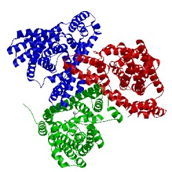 Image of CATH 4p19