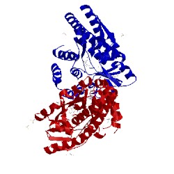 Image of CATH 4p1l