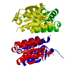 Image of CATH 4p1z