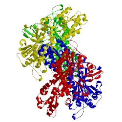 Image of CATH 4p3n