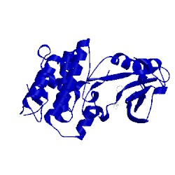 Image of CATH 4p4c