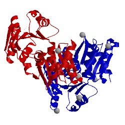 Image of CATH 4p4g