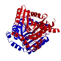Image of CATH 4p4s