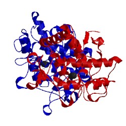 Image of CATH 4p6t