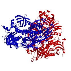 Image of CATH 4paa