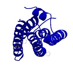 Image of CATH 4pac