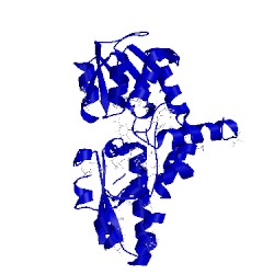 Image of CATH 4paf