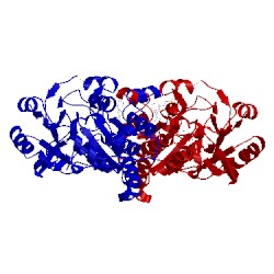 Image of CATH 4pag
