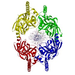 Image of CATH 4par