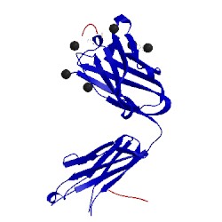 Image of CATH 4pb0