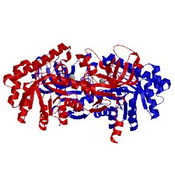 Image of CATH 4pb3